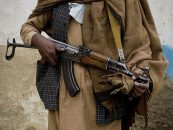 The World’s Credibility at Stake: Confronting Terror Without Favour