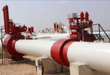 Pipeline Alternatives, Including Routes Via Türkiye, Gain Relevance Amid Strait of Hormuz Concerns