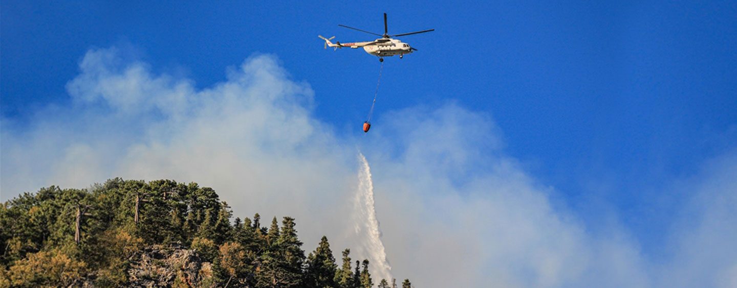 Total of 167 Wildfires in Turkey Now Under Control