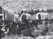 Caucasian Germans Around Göygöl and Shamkir – An International Model of Azerbaijani Tolerance