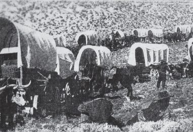 Caucasian Germans Around Göygöl and Shamkir – An International Model of Azerbaijani Tolerance