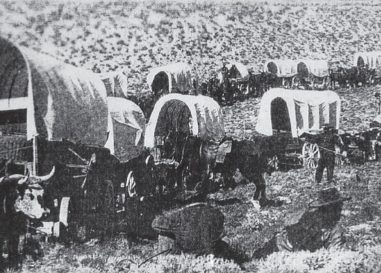 Caucasian Germans Around Göygöl and Shamkir – An International Model of Azerbaijani Tolerance