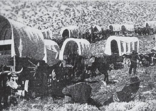 Caucasian Germans Around Göygöl and Shamkir – An International Model of Azerbaijani Tolerance