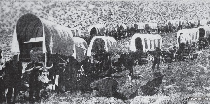 Caucasian Germans Around Göygöl and Shamkir – An International Model of Azerbaijani Tolerance
